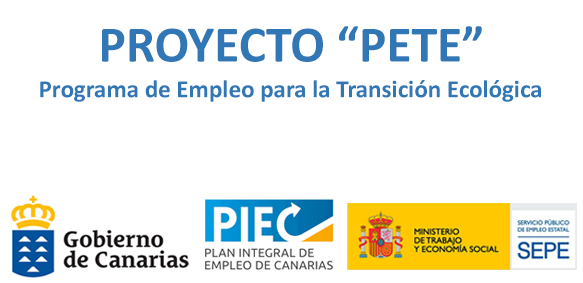Proyecto PETE